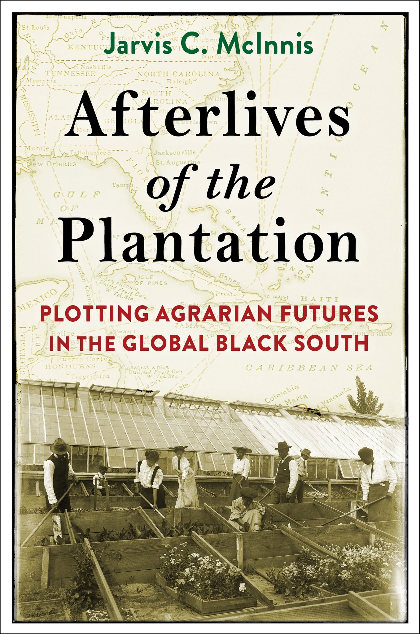 Cover image for Afterlives of the Plantation ISBN 9780231215749